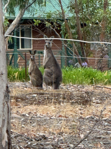 media thumbnail 1